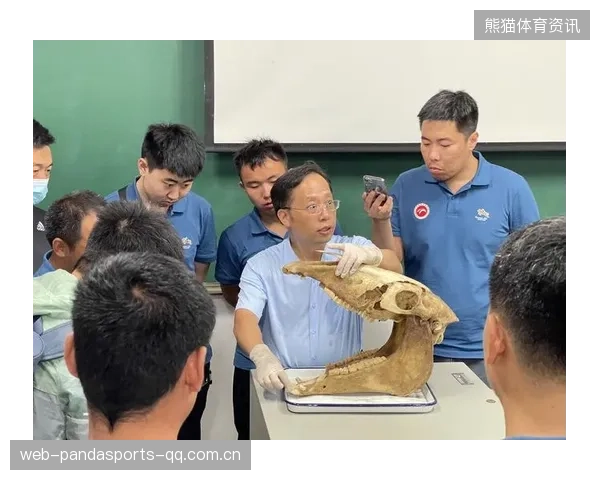 马术训练融入兽医康复方案，动物健康被优先考虑